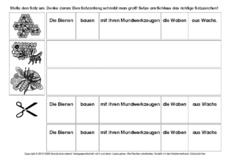 Sätze-umstellen-Honigbiene-3.pdf